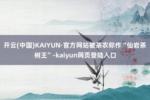 开云(中国)KAIYUN·官方网站被茶农称作“仙岩茶树王”-kaiyun网页登陆入口