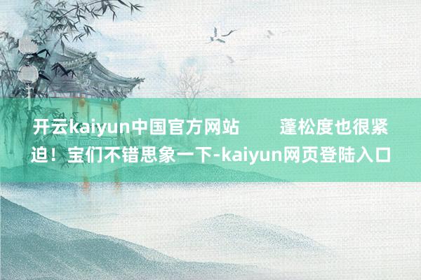 开云kaiyun中国官方网站        蓬松度也很紧迫！宝们不错思象一下-kaiyun网页登陆入口